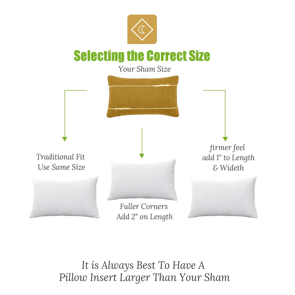 TOPGREEN Feather Down Throw Pillow Inserts 18 x 18, Set of 2, 100% Organic Cotton Shell, Soft Decorative Square Pillows Insert for Living Room Sofa, Couch, or Bed (White)